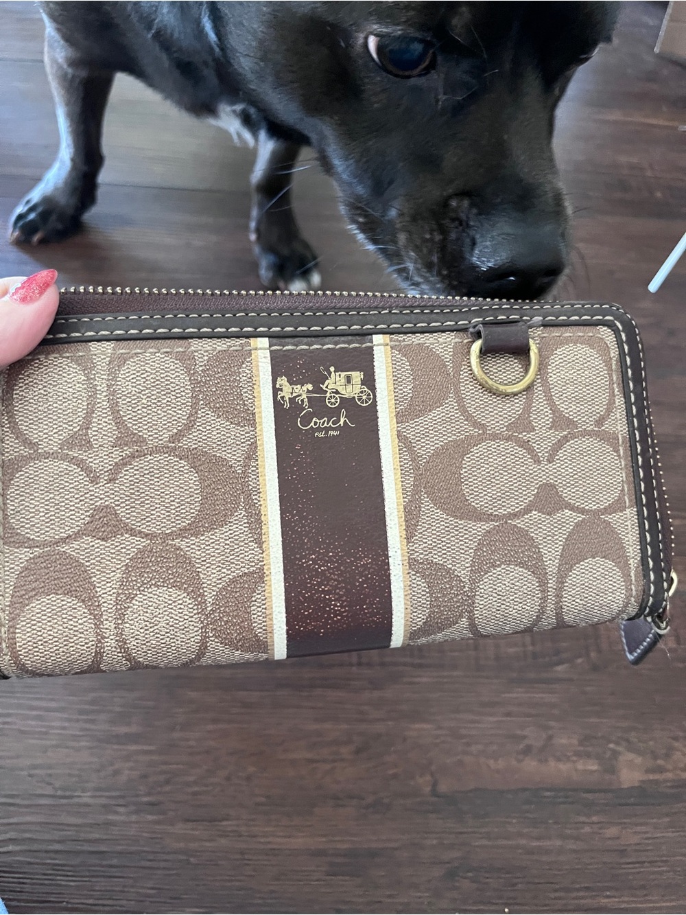 Authentic Coach Heritage stripe wallet…featuring my dog